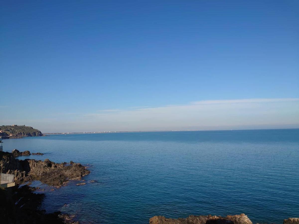4Rb4 Appartement Type T2 Bord De Mer Acces Plage Direct Колліур Екстер'єр фото