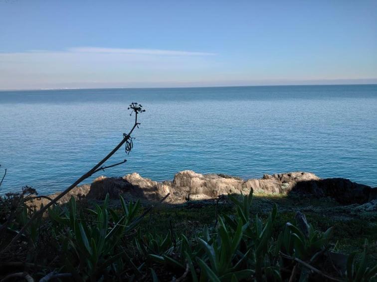 4Rb4 Appartement Type T2 Bord De Mer Acces Plage Direct Колліур Екстер'єр фото